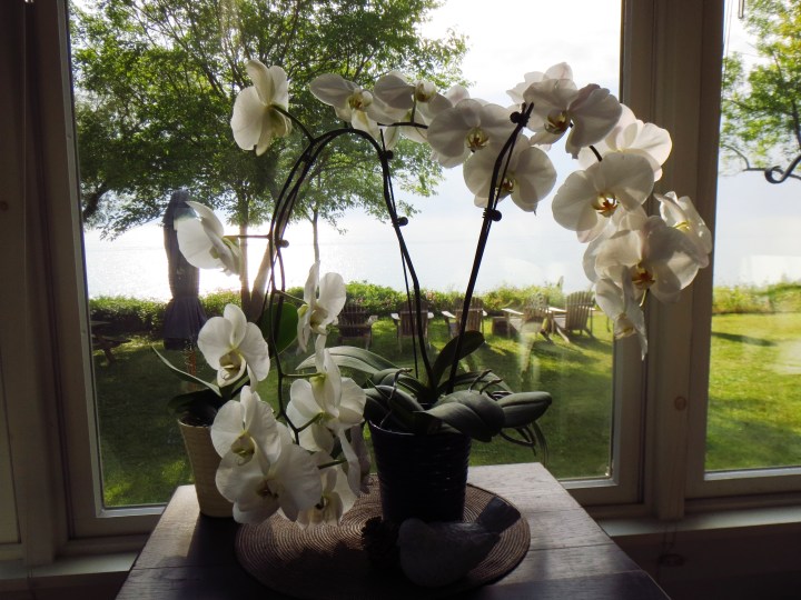 ???????????????????????????????