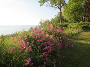 bayfield-summer-2014-011