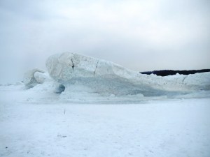 ???????????????????????????????