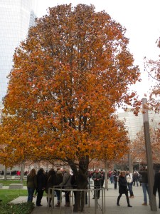 world-trade-center-018