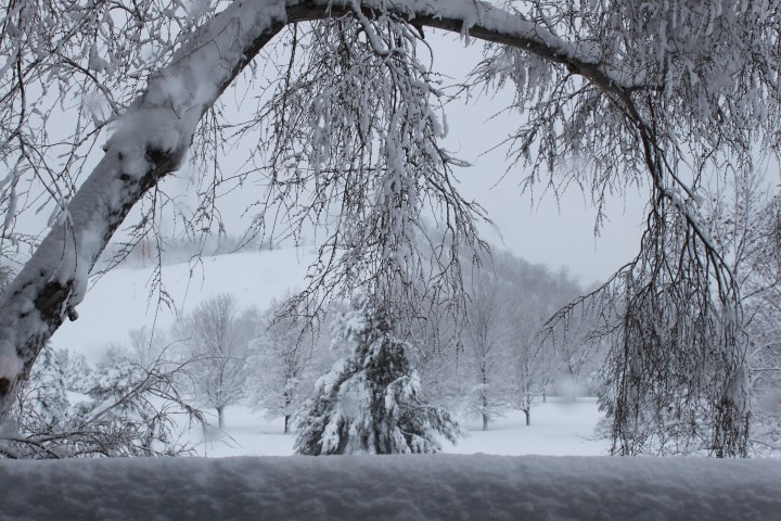 ga-pictures-3-6-12-355